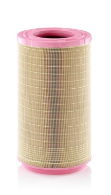 MANN-FILTER C 31 1495 Filtru aer foto