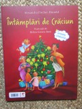 Cartea secreta a lui Mos Craciun / Intamplari de Craciun