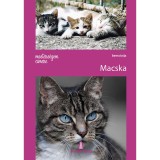 Mesters&eacute;gem c&iacute;mere: Macska - Zelina Gy&ouml;rgy