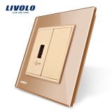 Cumpara ieftin Priza USB Livolo aurie cu rama din sticla cristal rezistenta
