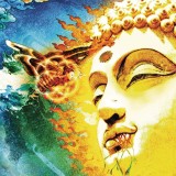 On Her Journey To The Sun | Rikard Sjablom&#039;s Gungfly