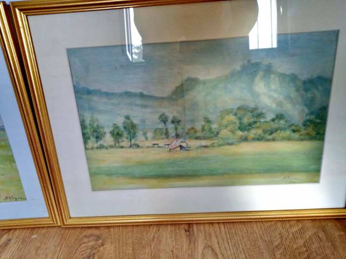 A493A- Alfons VEZOC- pictor Timisoara modern-Tablouri ulei.