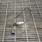 Sonda lambda AUDI A4 Avant 8W5, B9 2016 OEM: 8W0906265D | 10661969