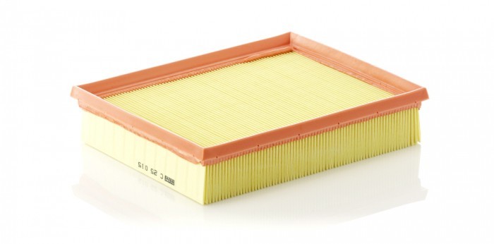 Filtru Aer Mann-Filter C25015