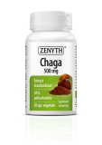 Chaga 500 mg, 30 capsule, Actiune imunomodulatoare, imunostimulatoare si antialergica, ZENYTH
