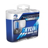 Set 2 becuri auto H4 cu halogen Skyline, lumina alba 12V, 55W, 5000K, pro