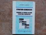 STRATURI CEMENTATE FENOMENE ȘI PROCESE DE BAZĂ STRUCTURĂ PROPRIETĂȚI - Elisabeta Vasilescu 2000