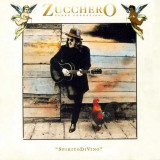 CD Zucchero Sugar Fornaciari &ndash; SpiritoDiVino (-VG), Rock