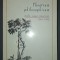 MICHEL FOUCAULT, Theatrum philosophicum - studii, eseuri, interviuri (1963-1984)