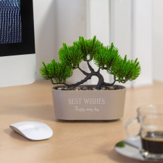 Decor plante artificiale &amp;ndash; bonsai &amp;ndash; 20 x 9 cm foto