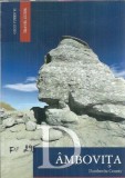 Ghid Turistic Dambovita Editie Bilingva Romana Engleza Carte Romana Engleza 2010