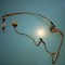 Cablu display LVDS cu webcam laptop Toshiba C660 C660D