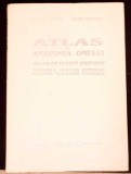 ATLAS DE ANATOMIA OMULUI. SISTEMUL NERVOS CENTRAL-VIOREL RANGA, RADU DIMITRIU-334775