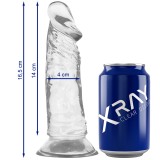 X Ray-Xray Clear Dildo Transparent 16.5 cm X 4 cm-Jelly, Ventuza
