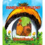 Ismersz engem? - H&aacute;zi&aacute;llatok - Radv&aacute;ny Zsuzsa
