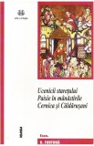 Ucenicii staretului Paisie in manastirile Cernica si Caldarusani &ndash; D. Furtuna