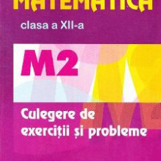 Matematica cls 12 M2 culegere de exercitii si probleme - Marius Burtea, Georgeta Burtea