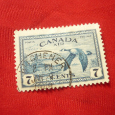 Timbru Canada 1946 - Aviatie - Pasare , 1 val. 7C stampilat