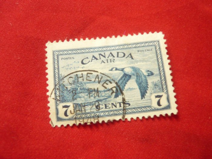 Timbru Canada 1946 - Aviatie - Pasare , 1 val. 7C stampilat