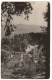 CPIB 21678 - CARTE POSTALA - SANGEORZ BAI. VEDERE DIN PARC, RPR, Circulata, Fotografie