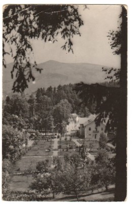 CPIB 21678 - CARTE POSTALA - SANGEORZ BAI. VEDERE DIN PARC, RPR foto