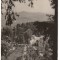 CPIB 21678 - CARTE POSTALA - SANGEORZ BAI. VEDERE DIN PARC, RPR