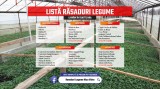Rasaduri legume : Rasad rosii / tomate ardei castraveti vinete salata 2025
