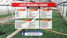 Rasaduri legume : Rasad rosii / tomate ardei castraveti vinete salata 2025