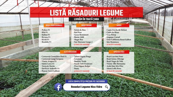 Rasaduri legume : Rasad rosii / tomate ardei castraveti vinete salata 2025