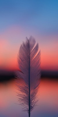 Husa Personalizata HUAWEI P Smart 2019 Feather foto