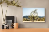 Tablou Canvas pe ramă cu imagine naturală, artă murală de natură, 39 x 26 cm, CMCLASS