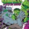 Incredible Hulk by Peter David Omnibus Vol. 2