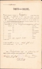 A1330 Certificat de salarizare &icirc;nvățător, școala din Tomnatic, județul Timiș, 1897