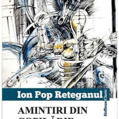 Amintiri din copilărie și alte scrieri (Ion Pop-Reteganul) - Paperback brosat - Ion Pop-Reteganul - Hoffman
