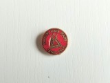 Insigna IMMUM Baia Mare 1950-1990, metal, 2cm diametru