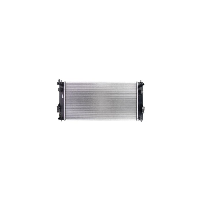 Radiator apa NISSAN LEAF AVA Quality Cooling DN2391