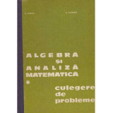 N. Donciu, D. Flondor - Algebra si analiza matematica. Culegere de probleme. volumul I+II - 134708