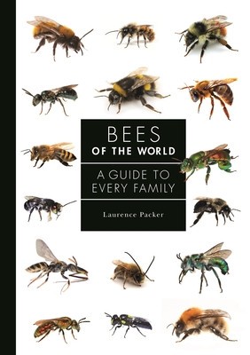 Bees of the World: A Guide to Every Family foto