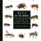 Bees of the World: A Guide to Every Family