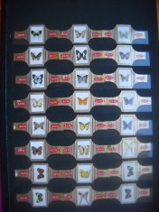 HOPCT LOT NR 40 - FLUTURI / FAUNA -48 BUC-ETICHETE VECHI DE TRABUCURI / CIGARS LABELS -COLECTIE DE LUX-LITHO