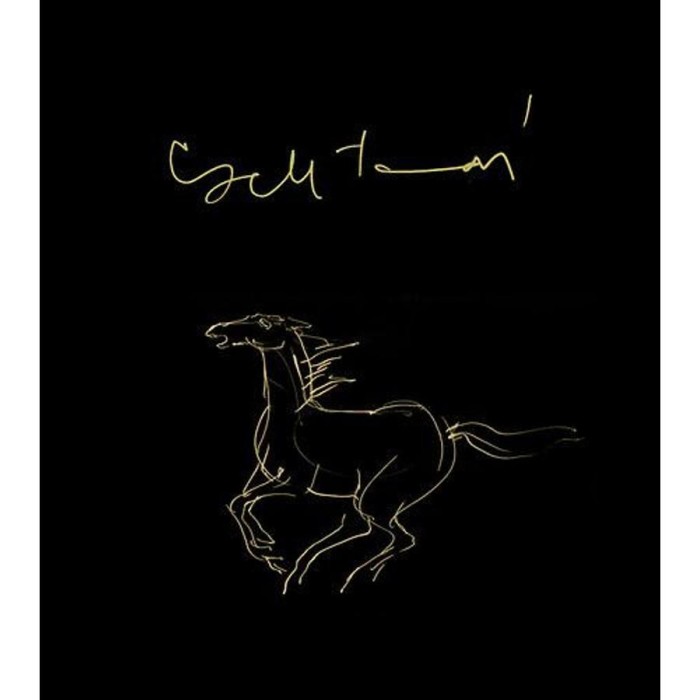 Grafik&aacute;k - Cseh Tam&aacute;s