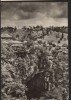 CPIB 22436 - CARTE POSTALA - PODUL NATURAL DE PIATRA DE LA PONOARE, Circulata, Fotografie