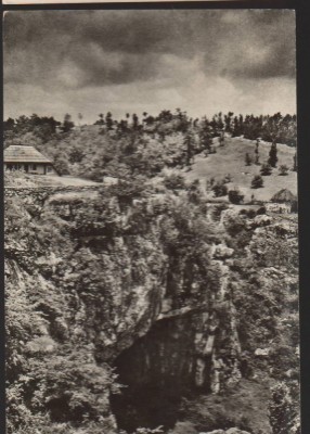 CPIB 22436 - CARTE POSTALA - PODUL NATURAL DE PIATRA DE LA PONOARE foto