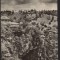 CPIB 22436 - CARTE POSTALA - PODUL NATURAL DE PIATRA DE LA PONOARE