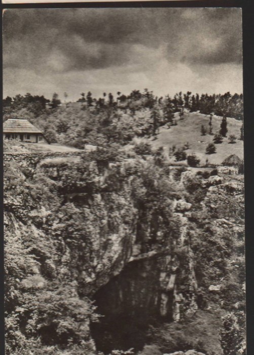 CPIB 22436 - CARTE POSTALA - PODUL NATURAL DE PIATRA DE LA PONOARE