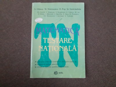 MATEMATICA TESTAREA NATIONALA GHEORGHE ANDREI 2005 foto