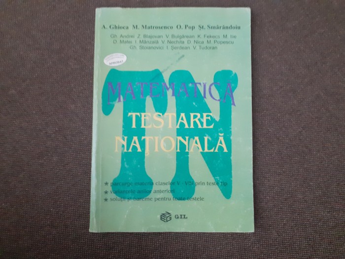 MATEMATICA TESTAREA NATIONALA GHEORGHE ANDREI 2005
