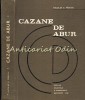 Cazane de abur - Nicolae A. Panoiu, Editura Didactica, 1982, 598 pagini, Mecanica, Carte tehnica