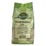 Seminte de Floarea Soarelui Bio Biopont PV 200gr