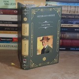 HERMANN HESSE - SUB TAVALUG , 2021 ( CARTONATA ) *
